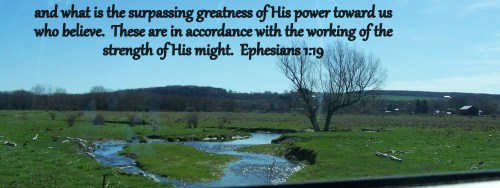 Stream on Flat Iron Road